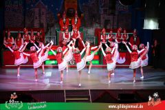 2026_1_Heimsitzung-054