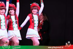 2026_1_Heimsitzung-064