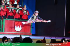 2026_1_Heimsitzung-137