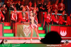 2026_1_Heimsitzung-144