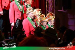 2_Prunksitzung_2025-025