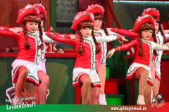 2_Prunksitzung_2025-040