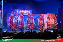 2_Prunksitzung_2025-132