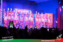 2_Prunksitzung_2025-140