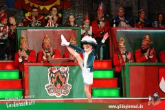 2_Prunksitzung_2025-192