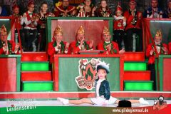 2_Prunksitzung_2025-193