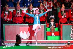 2_Prunksitzung_2025-222