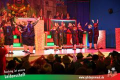 2_Prunksitzung_2025-245