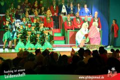 2_Prunksitzung_2025-264