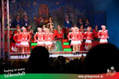 2_Prunksitzung_2025-395