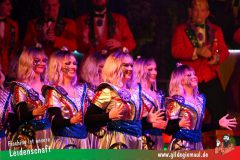 2_Prunksitzung_2025-433