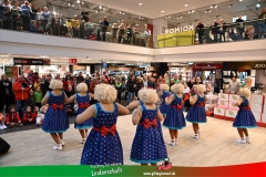 2023_Neubert_Fasching-083