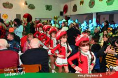 Prunksitzung-2-095