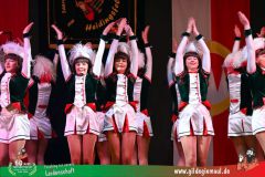 2025_Eroeffnungsball-079