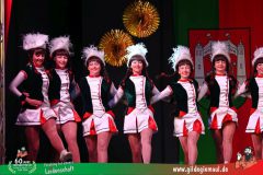 2025_Eroeffnungsball-082