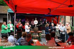 2025_Giemaulfest-003