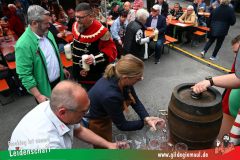 2025_Giemaulfest-019