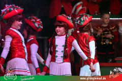 2026-2-Heimsitzung-027