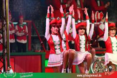 2026-2-Heimsitzung-031