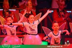 2026-2-Heimsitzung-095