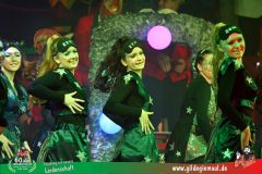 2026-2-Heimsitzung-173