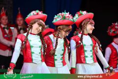 2026_3_Heimsitzung-048