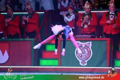 2026_3_Heimsitzung-195