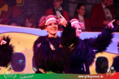 2026_3_Heimsitzung-334