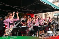 2026_Giemaulfest-060