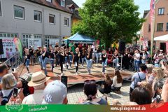 2026_Haetzfeld_hats-045