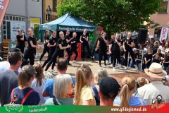 2026_Haetzfeld_hats-069