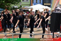 2026_Haetzfeld_hats-074