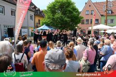 2026_Haetzfeld_hats-104