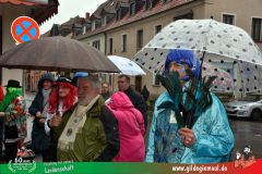 2026_Faschingszug_Heidingsfeld-004