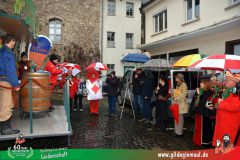 2026_Faschingszug_Heidingsfeld-007