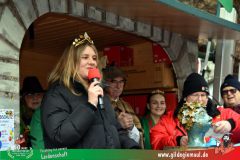 2026_Faschingszug_Heidingsfeld-010