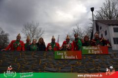 2026_Faschingszug_Heidingsfeld-017