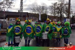 2026_Faschingszug_Heidingsfeld-023