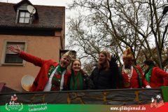 2026_Faschingszug_Heidingsfeld-032