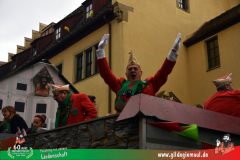 2026_Faschingszug_Heidingsfeld-035