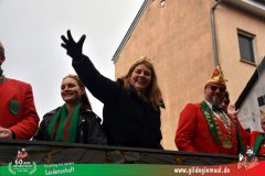 2026_Faschingszug_Heidingsfeld-037