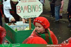 2026_Faschingszug_Heidingsfeld-043