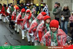 2026_Faschingszug_Heidingsfeld-045