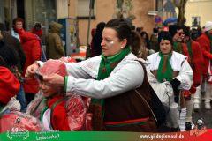 2026_Faschingszug_Heidingsfeld-046