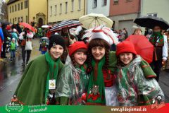 2026_Faschingszug_Heidingsfeld-049