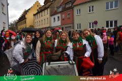 2026_Faschingszug_Heidingsfeld-050