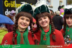 2026_Faschingszug_Heidingsfeld-051