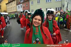 2026_Faschingszug_Heidingsfeld-052
