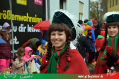 2026_Faschingszug_Heidingsfeld-053