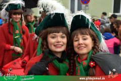 2026_Faschingszug_Heidingsfeld-054